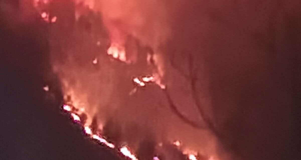 Fire Breaks Out in Wangath Conservation Reserve in Ganderbal