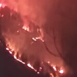 Fire Breaks Out in Wangath Conservation Reserve in Ganderbal