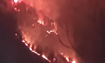 Fire Breaks Out in Wangath Conservation Reserve in Ganderbal