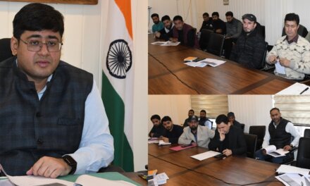 DC Ganderbal reviews progress of digitization of revenue records, directs for time bound completion of exercise