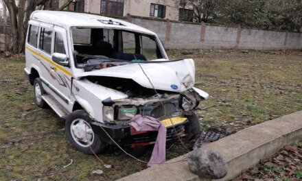 Nine Hurt as Vehicle Crashes into Tree in South Kashmir’s Tral, Four Referred to Srinagar