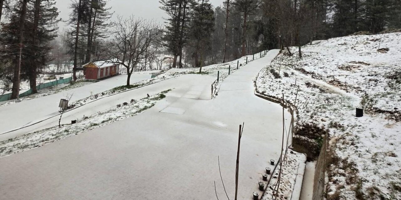 Hailstorm damages apple blossoms and crops in Budgam villages