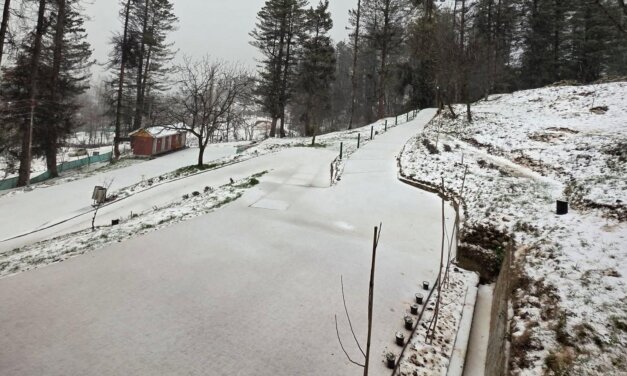 Hailstorm damages apple blossoms and crops in Budgam villages